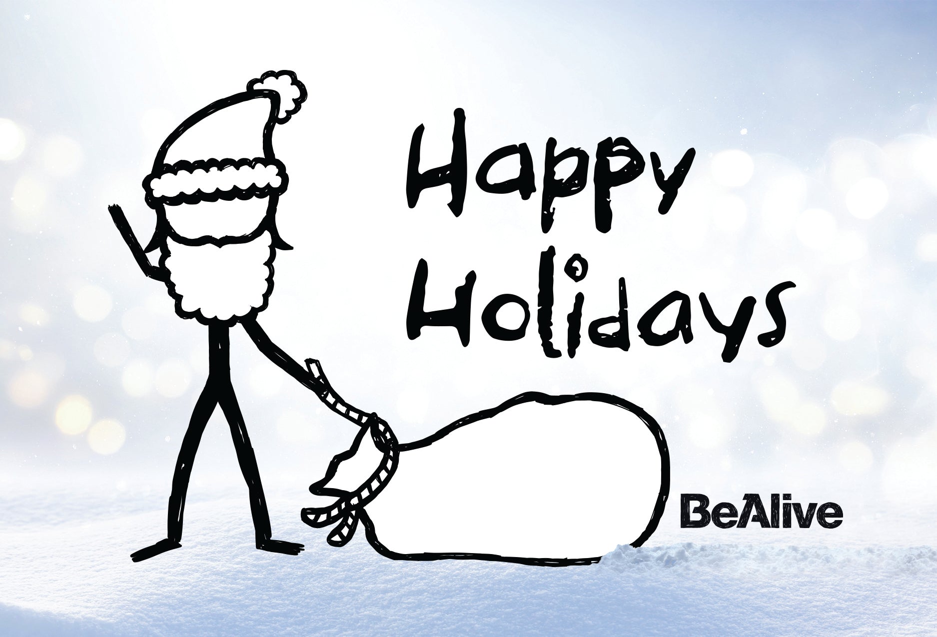Merry Christmas and a Happy Holiday season from the BeAlive crew!